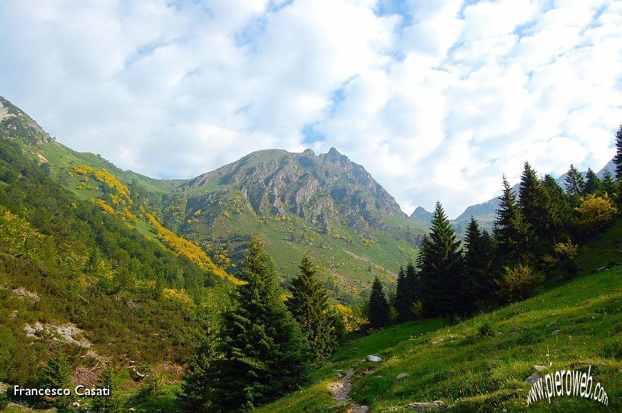 01 Macchie di giallo verso il Passo Marogella.jpg